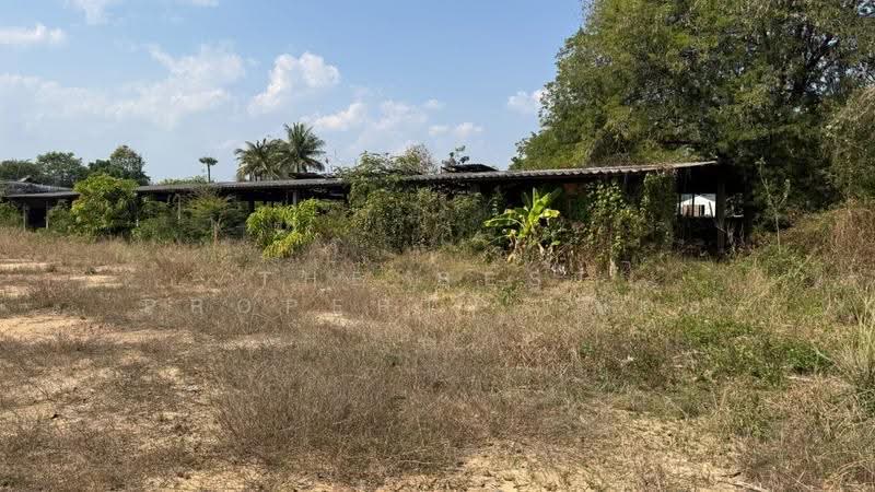 ที่ดินเวียงหนองล่อง ลำพูน, Lamphun, Nong Long, Wieng Nong long, Lamphun, , 3,168 sqm, Land For Sale, by The Best Property บอย, 500564019 - DDproperty.com