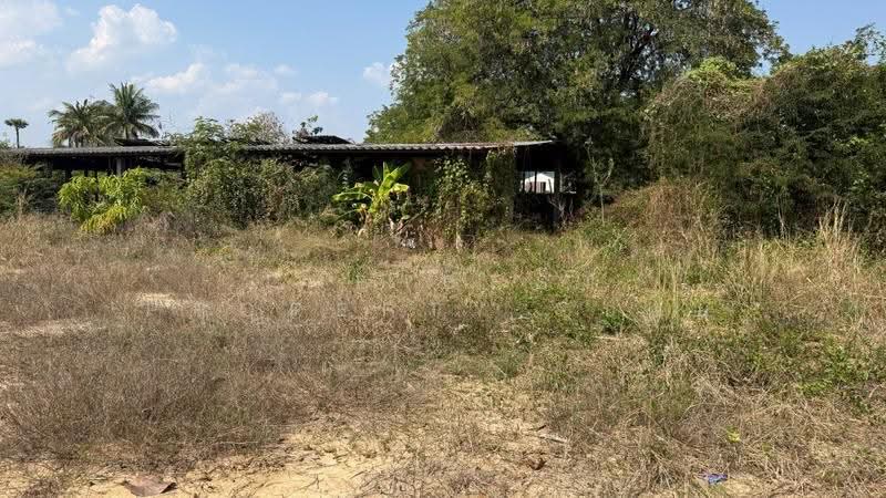 ที่ดินเวียงหนองล่อง ลำพูน, Lamphun, Nong Long, Wieng Nong long, Lamphun, , 3,168 sqm, Land For Sale, by The Best Property บอย, 500564019 - DDproperty.com
