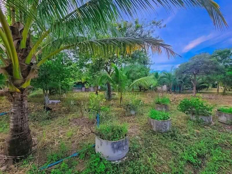 2-BR House, Prachuap Khiri Khan, Ko Lak, Muang Prachaubkirikhan, Prachuap Khiri Khan, 2 Bedrooms, 141 sqm, Single Detached House For Sale, by Achitaphop Klinpipat, 500564078 - DDproperty.com