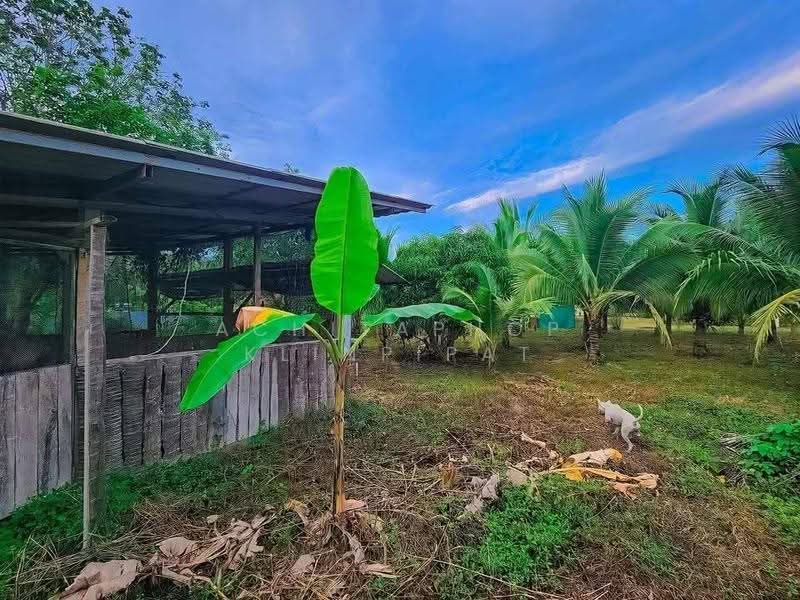 2-BR House, Prachuap Khiri Khan, Ko Lak, Muang Prachaubkirikhan, Prachuap Khiri Khan, 2 Bedrooms, 141 sqm, Single Detached House For Sale, by Achitaphop Klinpipat, 500564078 - DDproperty.com