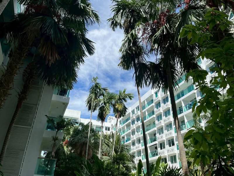 Amazon Residence Pattaya : อเมซอน เรสซิเดนซ์ พัทยา, ชลบุรี, ถนนบุณย์กัญจนา 5, หนองปรือ, บางละมุง, ชลบุรี, 73 ตร.ม., คอนโด ขาย, โดย Achitaphop Klinpipat, 500564156 - DDproperty.com