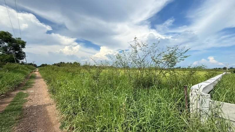 ที่ดินธัญบุรี ปทุมธานี, ปทุมธานี, บึงน้ำรักษ์, ธัญบุรี, ปทุมธานี, 29,628 ตร.ม., ที่ดิน ขาย, โดย The Best Property อาท, 500564261 - DDproperty.com