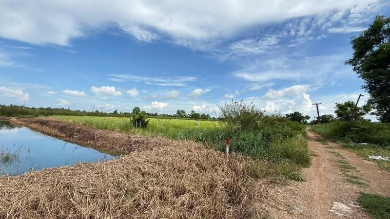 ที่ดินธัญบุรี ปทุมธานี, ปทุมธานี, บึงน้ำรักษ์, ธัญบุรี, ปทุมธานี, 29,628 ตร.ม., ที่ดิน ขาย, โดย The Best Property อาท, 500564261 - DDproperty.com