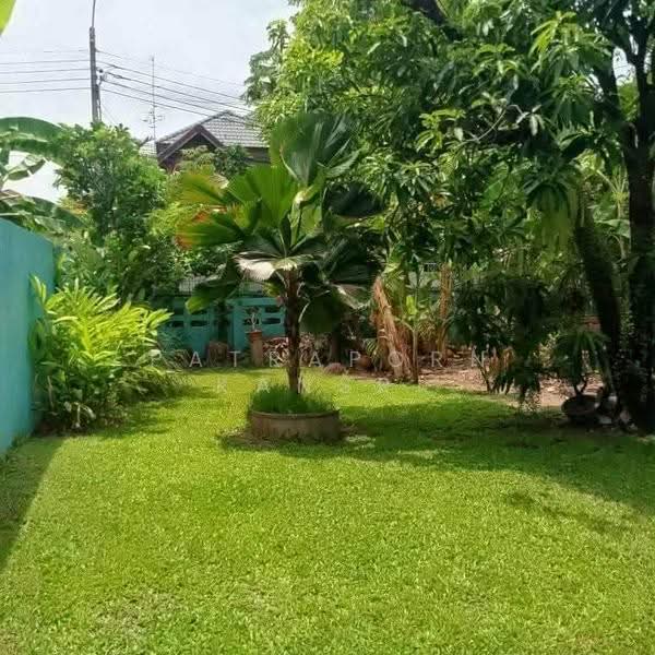 Studio House, Bangkok, Thung Khru, Bangkok, Studio, 47 sqm, Single Detached House For Sale, by Patraporn Kansri, 500564293 - DDproperty.com