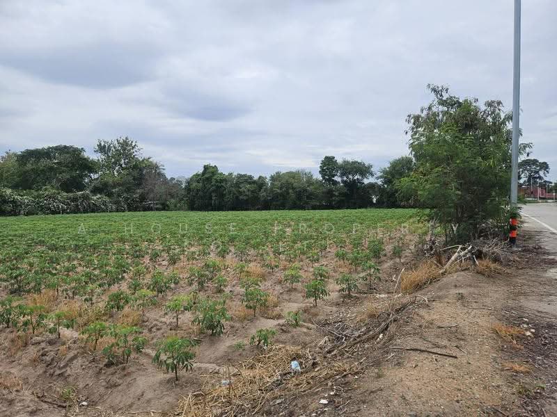 Land for sale near Bang Phra Reservoir, Si Racha; great views and a peaceful atmosphere, Chon Buri (Pattaya), Bang Phra, Si Racha, Chon Buri (Pattaya), , 15,200 sqm, Land For Sale, by A House Property Co.,Ltd., 500564470 - DDproperty.com