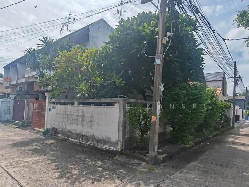 undefined, Bangkok, Wong Sawang, Bang Sue, Bangkok, 3 Bedrooms, 150 sqm, Single Detached House For Sale, by Patraporn Kansri, 500564533 - DDproperty.com
