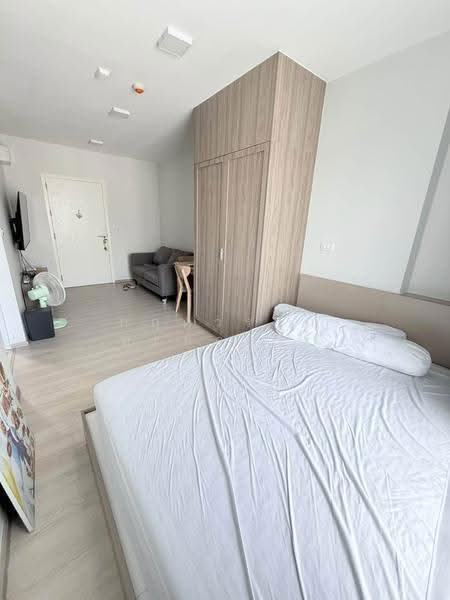 Plum Condo Sukhumvit 62, Bangkok, Sukhumvit 62, Bang Chak, Phra Khanong, Bangkok, 1 Bedroom, 24 sqm, Condo For Rent, by กฤตวรรณ ทะลอมคำ, 500564591 - DDproperty.com