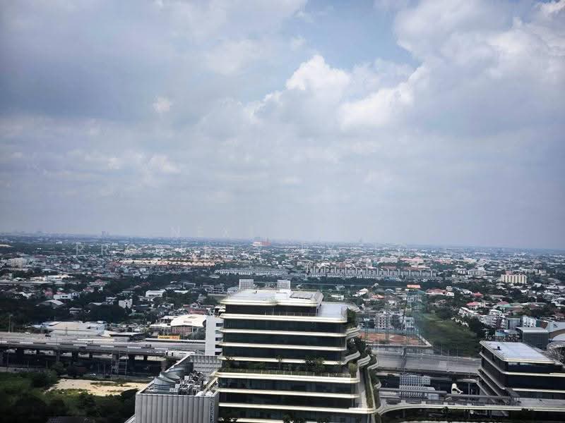 Whizdom The Forestias, Samut Prakan, Debaratana Road, Bang Kaeo, Bang Plee, Samut Prakan, 1 Bedroom, 35 sqm, Condo For Rent, by Next Step Property By Torrah, 500564619 - DDproperty.com