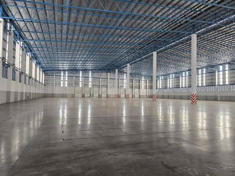 Poonpipat Warehouse B38 Bangna, Chachoengsao, Bang Samak, Bang Pakong, Chachoengsao, , 5,060 sqm, Warehouse/Factory For Rent, by Phatphorn Metkaruchit, 500564651 - DDproperty.com