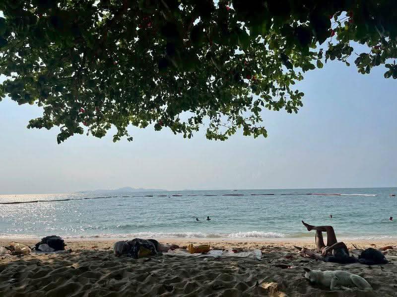 Zire Wongamat, Chon Buri (Pattaya), 456 Soi Naklua 18, Na Kloe, Bang Lamung (Pattaya), Chon Buri (Pattaya), 2 Bedrooms, 101 sqm, Condo For Sale, by Thitiporn Pawikham, 500564673 - DDproperty.com