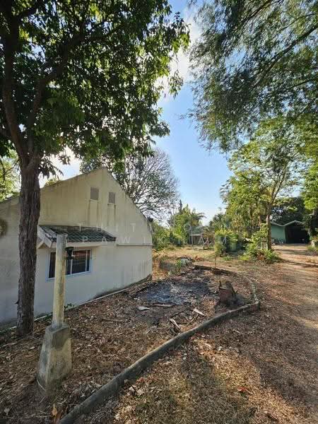 4-BR House, Surat Thani, Talat, Muang Surat Thani, Surat Thani, 4 Bedrooms, 382 sqm, Single Detached House For Sale, by Thitiporn Pawikham, 500564728 - DDproperty.com