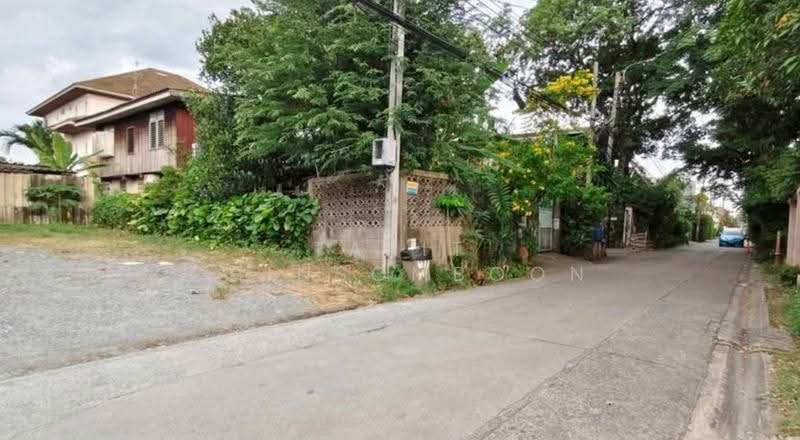 3-BR House, Bangkok, Chan Kasem, Chatuchak, Bangkok, 3 Bedrooms, 240 sqm, Single Detached House For Sale, by Tarit Chinsomboon, 500564875 - DDproperty.com