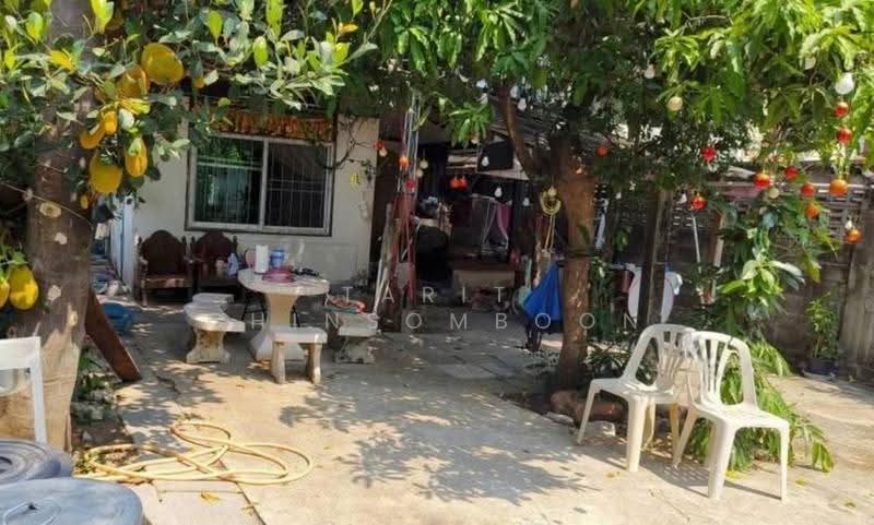 3-BR House, Bangkok, Chan Kasem, Chatuchak, Bangkok, 3 Bedrooms, 240 sqm, Single Detached House For Sale, by Tarit Chinsomboon, 500564875 - DDproperty.com