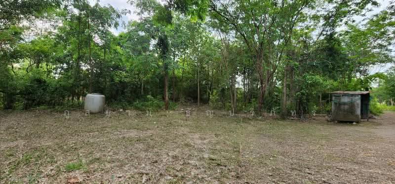 Land on Jenchopthit Road, Nang Ram Subdistrict, Prathai District, Nakhon Ratchasima Province, Nakhon Ratchasima, เจนจบทิศ, Nang Ram, Pra Thai, Nakhon Ratchasima, , 10,580 sqm, Land For Sale, by ภูสยาม ธัญปริภัทร์, 500564973 - DDproperty.com