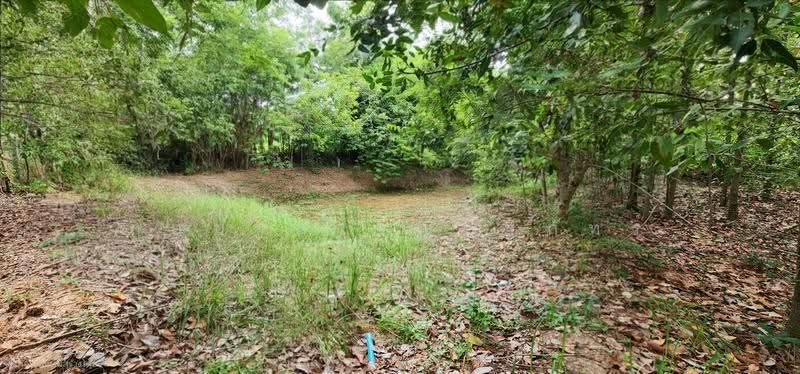 Land on Jenchopthit Road, Nang Ram Subdistrict, Prathai District, Nakhon Ratchasima Province, Nakhon Ratchasima, เจนจบทิศ, Nang Ram, Pra Thai, Nakhon Ratchasima, , 10,580 sqm, Land For Sale, by ภูสยาม ธัญปริภัทร์, 500564973 - DDproperty.com