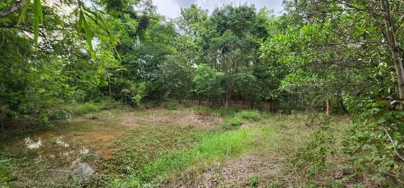 Land on Jenchopthit Road, Nang Ram Subdistrict, Prathai District, Nakhon Ratchasima Province, Nakhon Ratchasima, เจนจบทิศ, Nang Ram, Pra Thai, Nakhon Ratchasima, , 10,580 sqm, Land For Sale, by ภูสยาม ธัญปริภัทร์, 500564973 - DDproperty.com