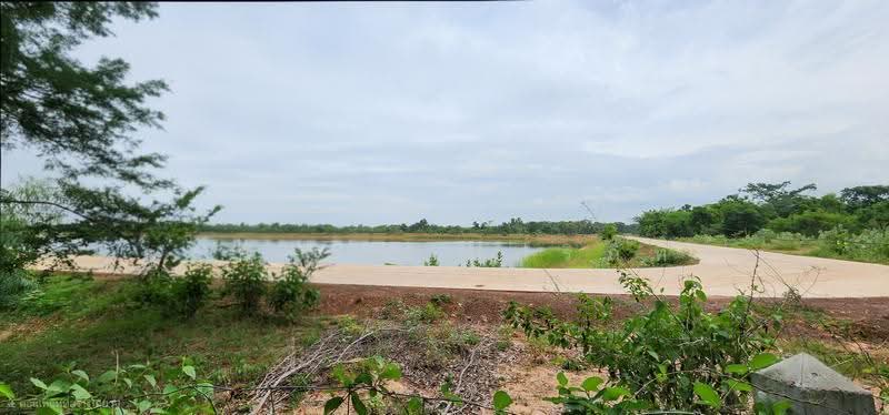 Land on Jenchopthit Road, Nang Ram Subdistrict, Prathai District, Nakhon Ratchasima Province, Nakhon Ratchasima, เจนจบทิศ, Nang Ram, Pra Thai, Nakhon Ratchasima, , 10,580 sqm, Land For Sale, by ภูสยาม ธัญปริภัทร์, 500564973 - DDproperty.com