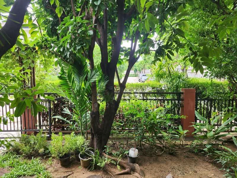 rasa park lane, กรุงเทพ, วัชรพล, คลองถนน, สายไหม, กรุงเทพ, 180 ตร.ม., บ้านเดี่ยว ขาย, โดย ที่ทางอสังหา 065-925-3163, 500565046 - DDproperty.com