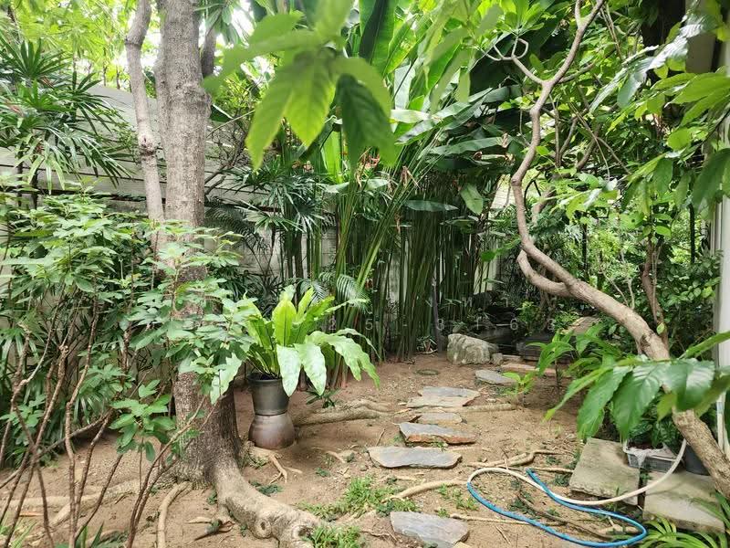 Rasa Parklane Watcharapol, Bangkok, Wacharaphon Rd., Khlong Tanon, Sai Mai, Bangkok, 3 Bedrooms, 180 sqm, Single Detached House For Sale, by ที่ทางอสังหา 065-925-3163, 500565046 - DDproperty.com