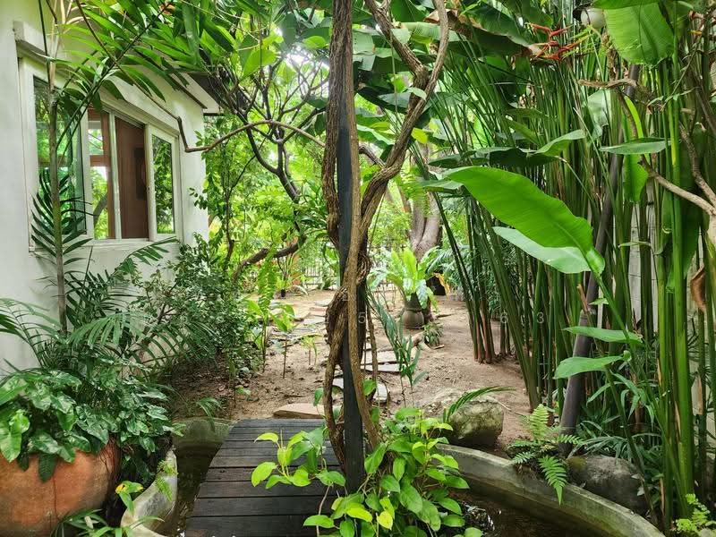 rasa park lane, กรุงเทพ, วัชรพล, คลองถนน, สายไหม, กรุงเทพ, 180 ตร.ม., บ้านเดี่ยว ขาย, โดย ที่ทางอสังหา 065-925-3163, 500565046 - DDproperty.com