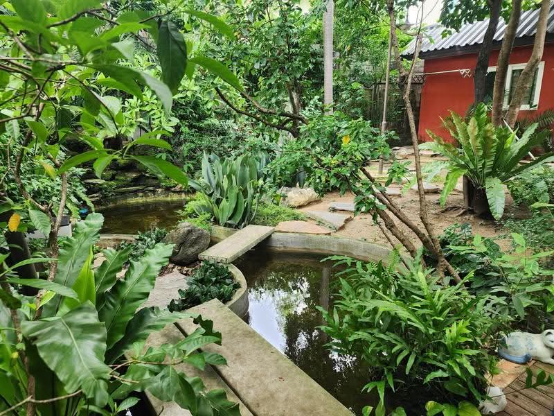 rasa park lane, กรุงเทพ, วัชรพล, คลองถนน, สายไหม, กรุงเทพ, 180 ตร.ม., บ้านเดี่ยว ขาย, โดย ที่ทางอสังหา 065-925-3163, 500565046 - DDproperty.com