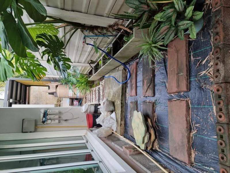 undefined, Bangkok, Bang Chun, Khlong Sam Wa, Bangkok, 3 Bedrooms, 205 sqm, Single Detached House For Sale, by Narinthira Roengrit, 500565066 - DDproperty.com