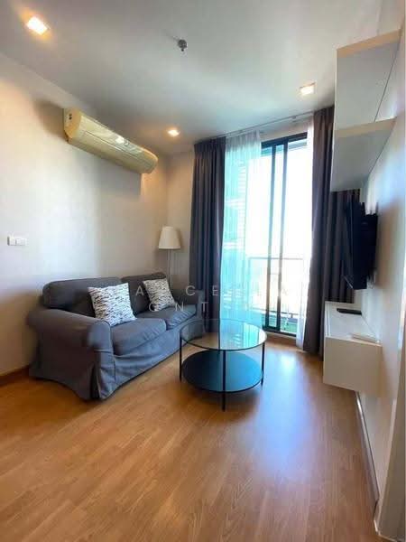 Q House Sukhumvit 79, Bangkok, 2059 Sukhumvit Road, Phra Kanong Nua, Watthana, Bangkok, 1 Bedroom, 45 sqm, Condo For Rent, by Marcella Contini, 500565084 - DDproperty.com