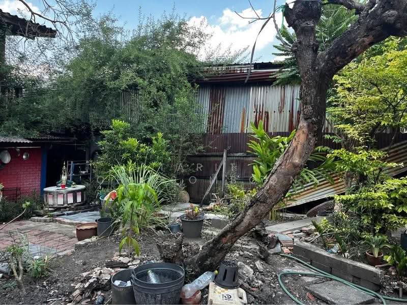 บ้าน 2-ห้องนอน, กรุงเทพ, บางนาเหนือ, บางนา, กรุงเทพ, 66 ตร.ม., บ้านเดี่ยว ขาย, โดย Tarit Chinsomboon, 500565259 - DDproperty.com