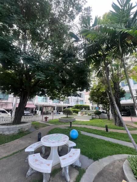 Baan Klang Muang Sukhumvit 113 : บ้านกลางเมือง สุขุมวิท 113, สมุทรปราการ, ซอย ด่านสำโรง 32, สำโรงเหนือ, เมืองสมุทรปราการ, สมุทรปราการ, 160 ตร.ม., ทาวน์เฮ้าส์ ให้เช่า, โดย ปรินทร์ญาดา ชิณโชติ, 500565282 - DDproperty.com