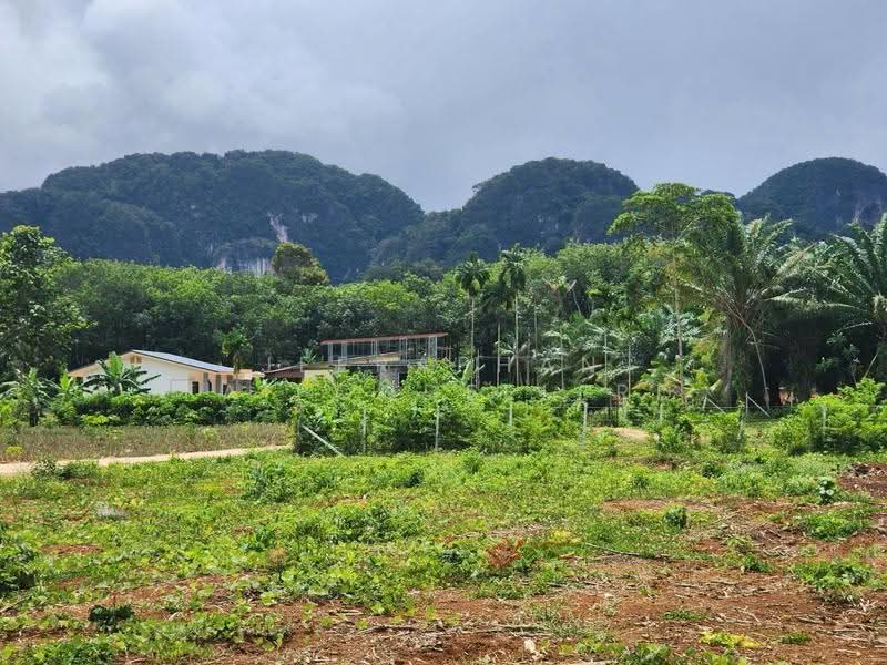 Land for Sale in Nong Thale, Krabi, Nong Tale, Muang Krabi, Krabi, , 3,200 sqm, Land For Sale, by JEERAPHAN FAIPONDEELERD, 500565343 - DDproperty.com