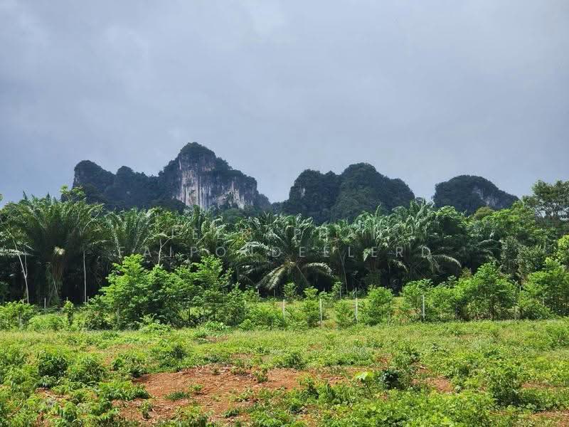 Land for Sale in Nong Thale, Krabi, Nong Tale, Muang Krabi, Krabi, , 3,200 sqm, Land For Sale, by JEERAPHAN FAIPONDEELERD, 500565343 - DDproperty.com