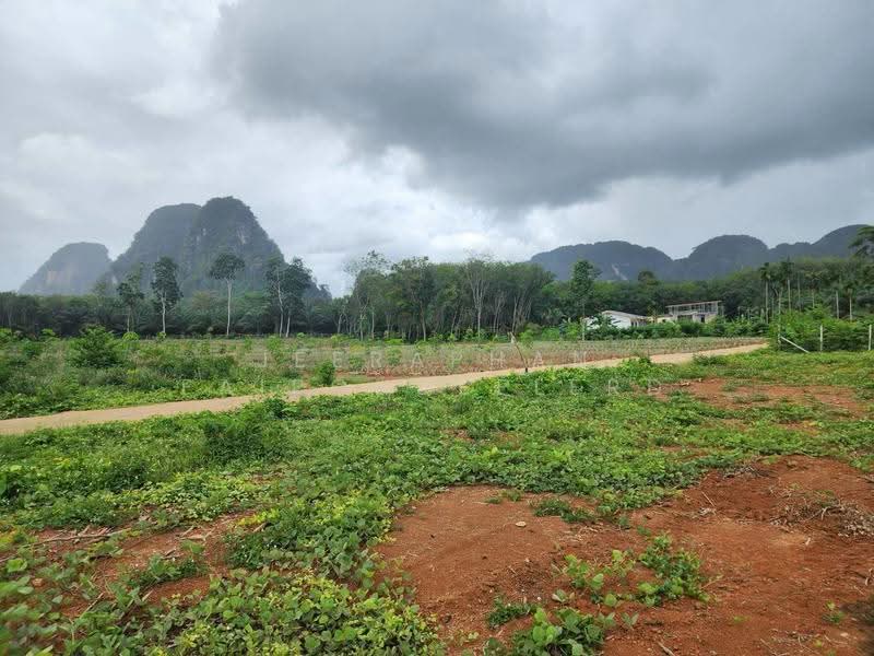Land for Sale in Nong Thale, Krabi, Nong Tale, Muang Krabi, Krabi, , 3,200 sqm, Land For Sale, by JEERAPHAN FAIPONDEELERD, 500565343 - DDproperty.com