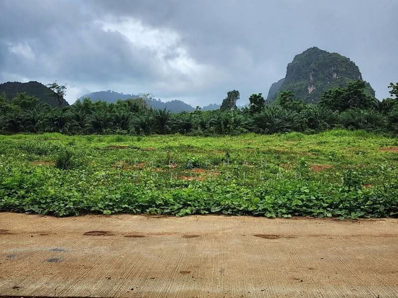 Land for Sale in Nong Thale, Krabi, Nong Tale, Muang Krabi, Krabi, , 3,200 sqm, Land For Sale, by JEERAPHAN FAIPONDEELERD, 500565343 - DDproperty.com