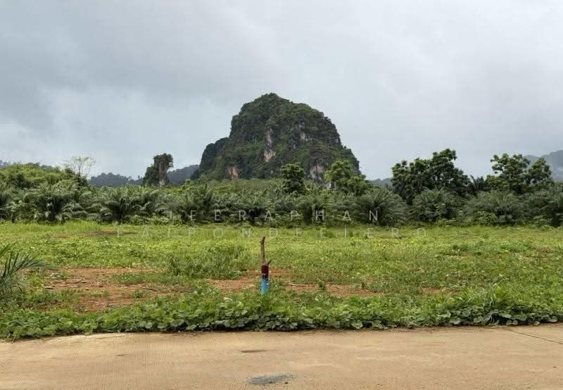 Land for Sale in Nong Thale, Krabi, Nong Tale, Muang Krabi, Krabi, , 3,200 sqm, Land For Sale, by JEERAPHAN FAIPONDEELERD, 500565343 - DDproperty.com