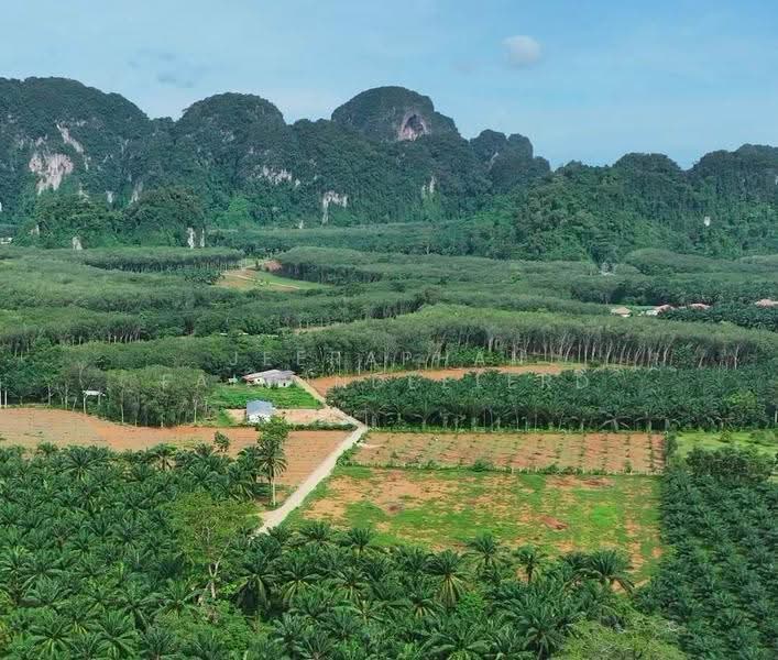Land for Sale in Nong Thale, Krabi, Nong Tale, Muang Krabi, Krabi, , 3,200 sqm, Land For Sale, by JEERAPHAN FAIPONDEELERD, 500565343 - DDproperty.com
