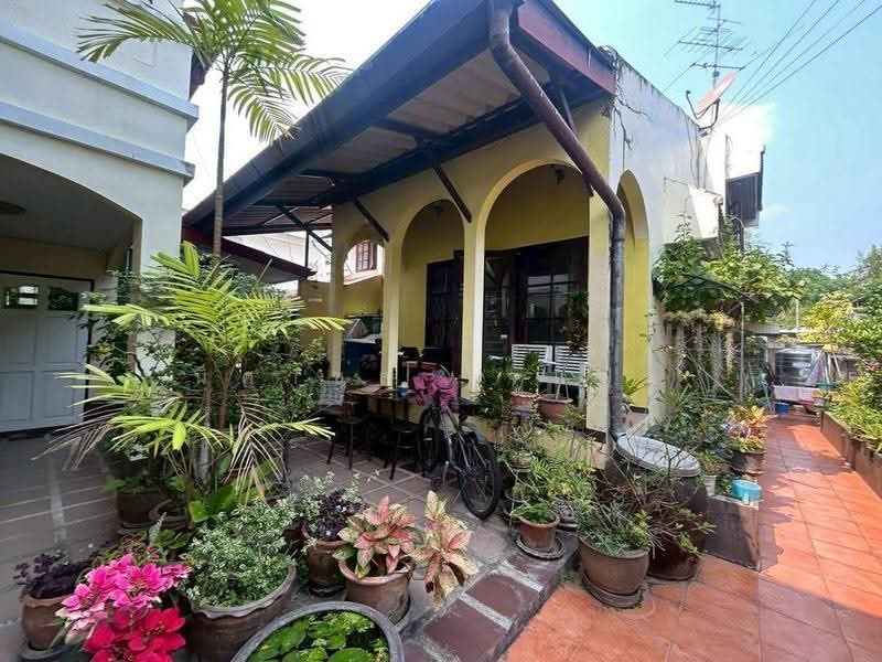 สันติธรรมขายบ้าน 2 หลังในที่ดินเดียว ศรีภูมิ–สันติธรรม เชียงใหม่, เชียงใหม่, ศรีภูมิ, เมืองเชียงใหม่, เชียงใหม่, 340 ตร.ม., บ้านเดี่ยว ขาย, โดย นิศาชล ใจแปง, 500565381 - DDproperty.com