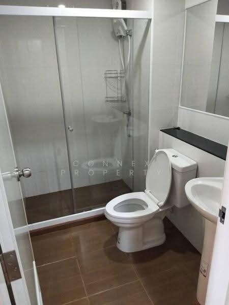 Regent Home Sukhumvit 81, Bangkok, Soi Sukhumvit 81, Suan Luang, Bangkok, 1 Bedroom, 28 sqm, Condo For Rent, by Connex Property, 500565412 - DDproperty.com