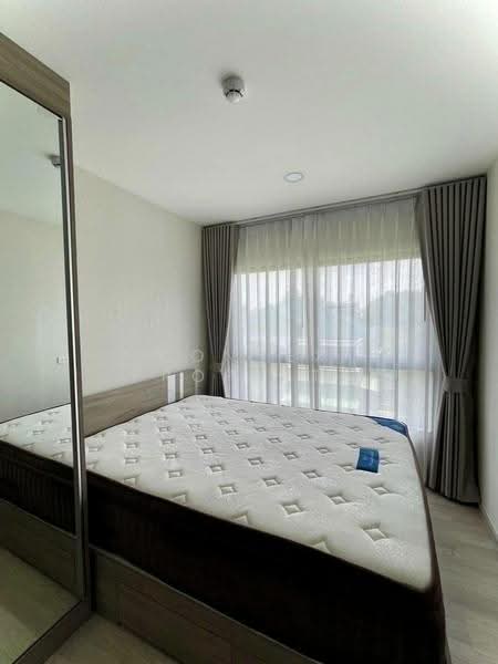 Plum Condo Sukhumvit 97/1, Bangkok, 204 Soi Sukhumvit 97/1, Bang Chak, Phra Khanong, Bangkok, 1 Bedroom, 27 sqm, Condo For Rent, by Connex Property, 500565463 - DDproperty.com