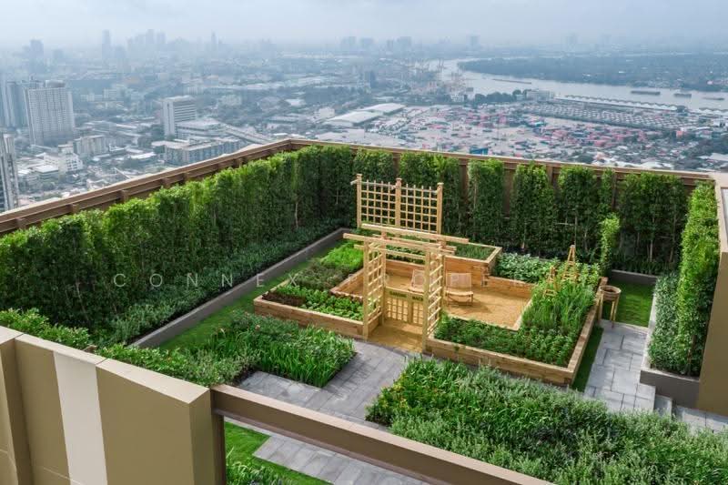 Oka Haus Sukhumvit 36, Bangkok, 3399 Rama 4 Road, Khong Tan, Khlong Toei, Bangkok, 1 Bedroom, 34 sqm, Condo For Rent, by Connex Property, 500565491 - DDproperty.com