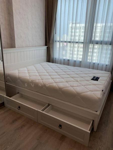 KnightsBridge Collage Ramkhamhaeng, Bangkok, Ramkhamhaeng Road, Hua Mak, Bang Kapi, Bangkok, 1 Bedroom, 27 sqm, Condo For Sale, by Ketkanok Sungthong, 500565704 - DDproperty.com