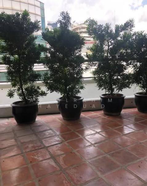 Ma Peng Seng Apartment, Bangkok, Soi Sukhumvit 31, Khlongtoei Nua, Watthana, Bangkok, 3 Bedrooms, 245 sqm, Apartment For Rent, by Abdulrahim Hayeduad, 500565709 - DDproperty.com