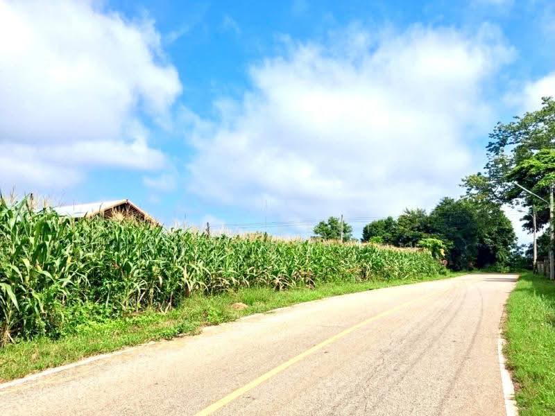 ที่ดินป่าเซ่า อุตรดิตถ์, uttaradit, Pa Sao, Muang Uttaradit, Uttaradit, , 800 sqm, Land For Sale, by The Best Property ตุ๋ม, 500565740 - DDproperty.com