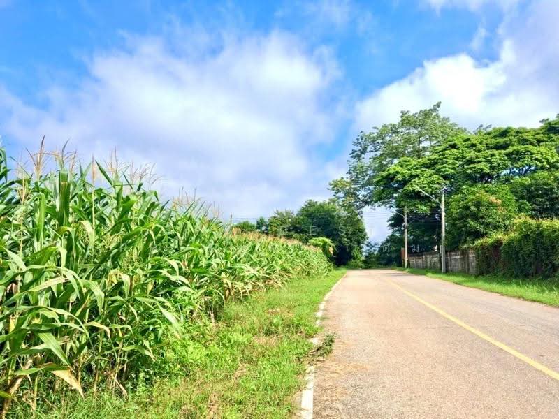 ที่ดินป่าเซ่า อุตรดิตถ์, uttaradit, Pa Sao, Muang Uttaradit, Uttaradit, , 800 sqm, Land For Sale, by The Best Property ตุ๋ม, 500565740 - DDproperty.com
