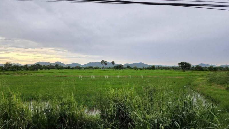 ขายที่ดิน 44 ไร่ 360 ตร.ว. ติดถนนเพชรเกษม กม.143 เขาย้อย เพชรบุรี หน้ากว้าง 120 เมตร แบ่งขายได้, เพชรบุรี, หนองปรง, เขาย้อย, เพชรบุรี, 71,840 ตร.ม., ที่ดิน ขาย, โดย คุณพราว, 500565942 - DDproperty.com