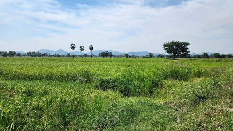 ขายที่ดิน 44 ไร่ 360 ตร.ว. ติดถนนเพชรเกษม กม.143 เขาย้อย เพชรบุรี หน้ากว้าง 120 เมตร แบ่งขายได้, phetchaburi, Nong Prong, Khao Yoi, Phetchaburi, , 71,840 sqm, Land For Sale, by คุณพราว, 500565942 - DDproperty.com