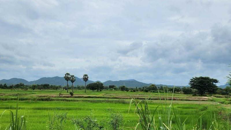 ขายที่ดิน 44 ไร่ 360 ตร.ว. ติดถนนเพชรเกษม กม.143 เขาย้อย เพชรบุรี หน้ากว้าง 120 เมตร แบ่งขายได้, เพชรบุรี, หนองปรง, เขาย้อย, เพชรบุรี, 71,840 ตร.ม., ที่ดิน ขาย, โดย คุณพราว, 500565942 - DDproperty.com