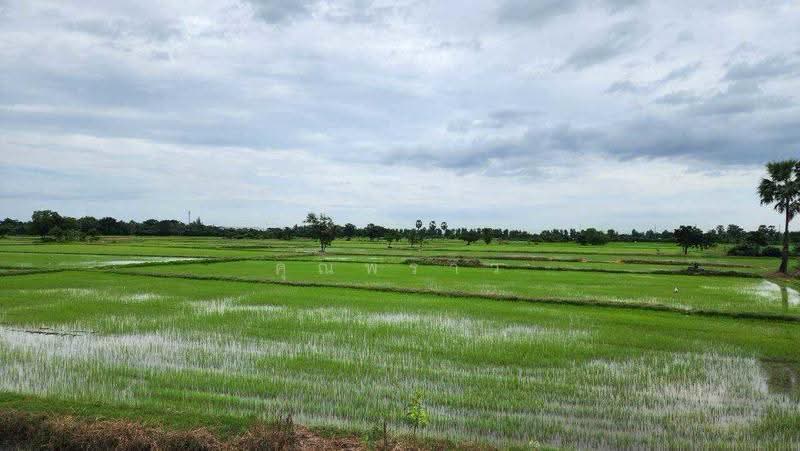 ขายที่ดิน 44 ไร่ 360 ตร.ว. ติดถนนเพชรเกษม กม.143 เขาย้อย เพชรบุรี หน้ากว้าง 120 เมตร แบ่งขายได้, phetchaburi, Nong Prong, Khao Yoi, Phetchaburi, , 71,840 sqm, Land For Sale, by คุณพราว, 500565942 - DDproperty.com