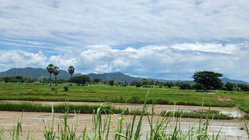 ขายที่ดิน 44 ไร่ 360 ตร.ว. ติดถนนเพชรเกษม กม.143 เขาย้อย เพชรบุรี หน้ากว้าง 120 เมตร แบ่งขายได้, phetchaburi, Nong Prong, Khao Yoi, Phetchaburi, , 71,840 sqm, Land For Sale, by คุณพราว, 500565942 - DDproperty.com