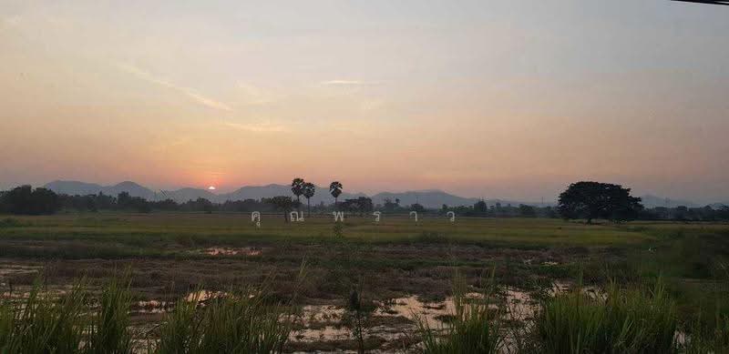 ขายที่ดิน 44 ไร่ 360 ตร.ว. ติดถนนเพชรเกษม กม.143 เขาย้อย เพชรบุรี หน้ากว้าง 120 เมตร แบ่งขายได้, เพชรบุรี, หนองปรง, เขาย้อย, เพชรบุรี, 71,840 ตร.ม., ที่ดิน ขาย, โดย คุณพราว, 500565942 - DDproperty.com
