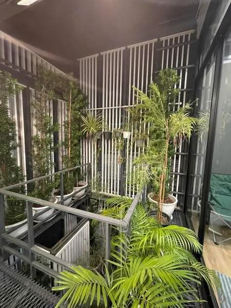 Townhouse Area Ramkhamhaeng, Bangkok, Hua Mak, Bang Kapi, Bangkok, 3 Bedrooms, 220 sqm, Townhouse For Sale, by Eastblue Horizon, 500566051 - DDproperty.com